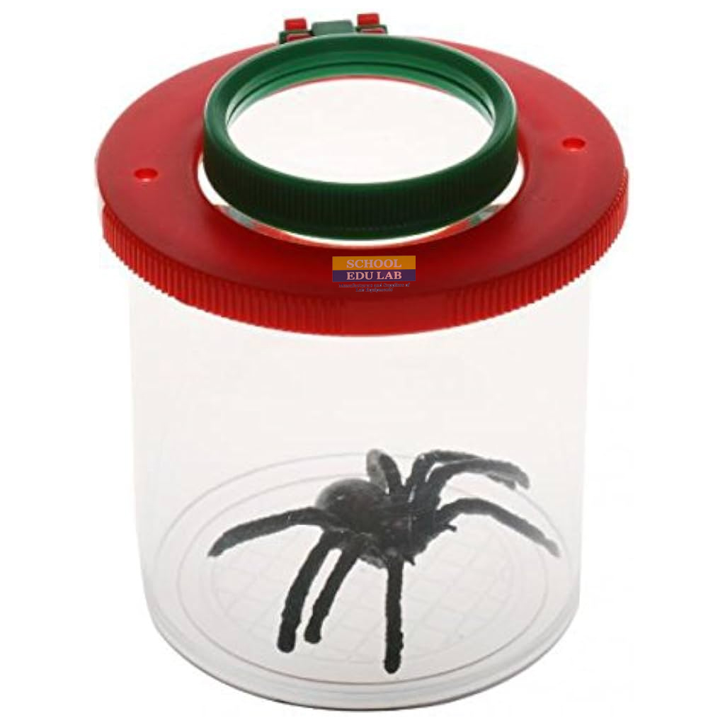 Magnifying glass with screw-on lid